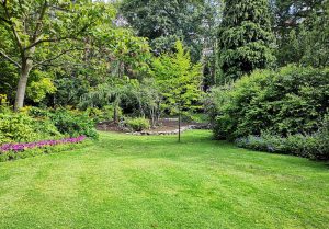 Optimiser l'expérience du jardin à Le Chatelet-sur-Retourne